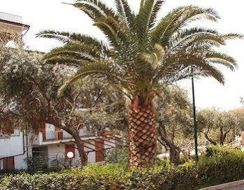 Residence L'Uliveto Gioiosa Marea Exterior foto